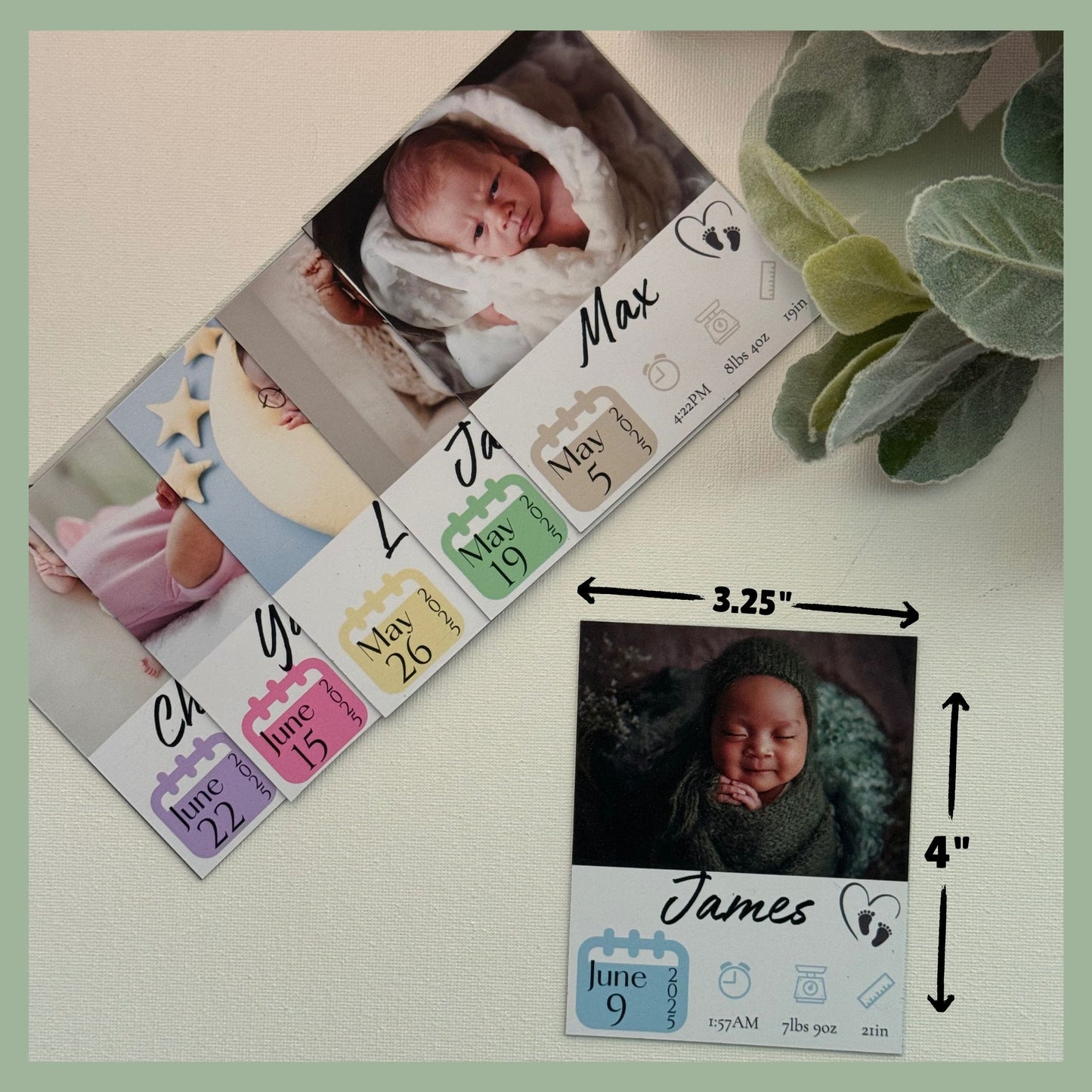Set of personalized baby announcement photo magnets with custom newborn photos and birth details along with a size reference