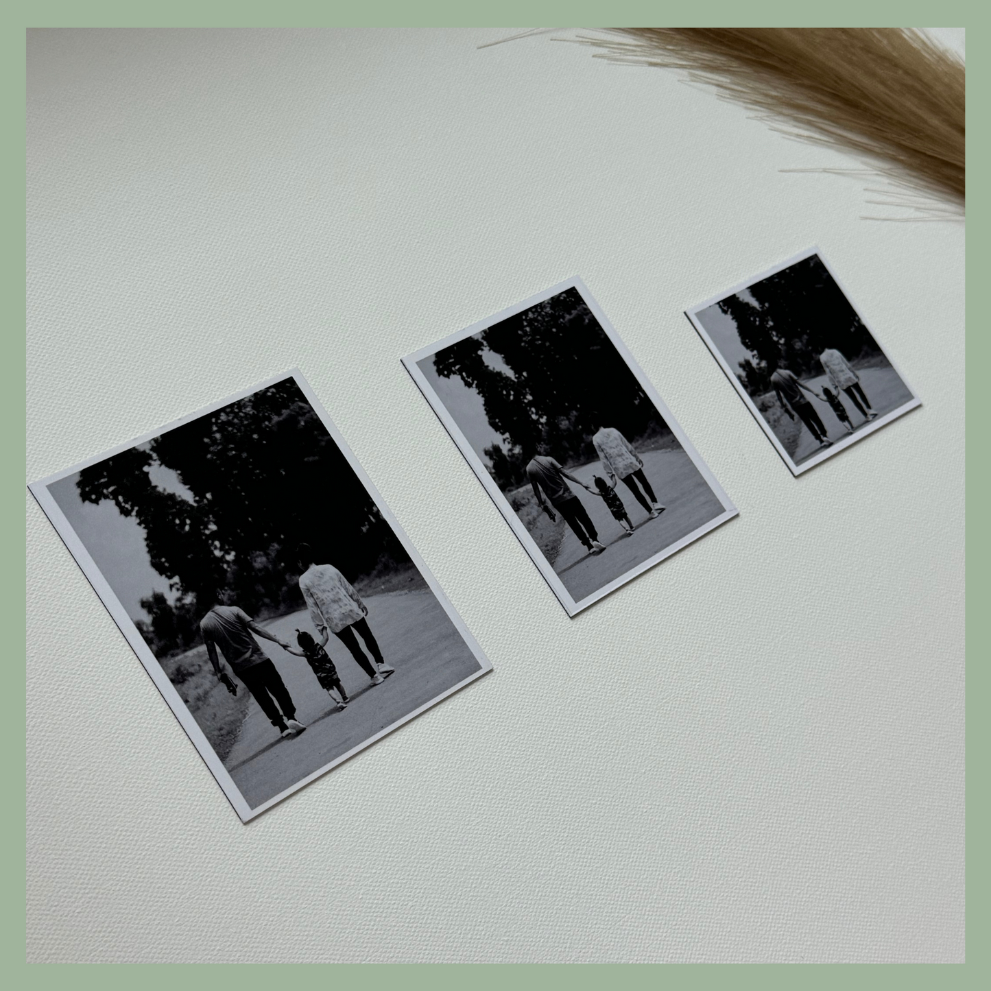 Three different magnet sizes showing a black and white personalized family photo on white background with pampas grass