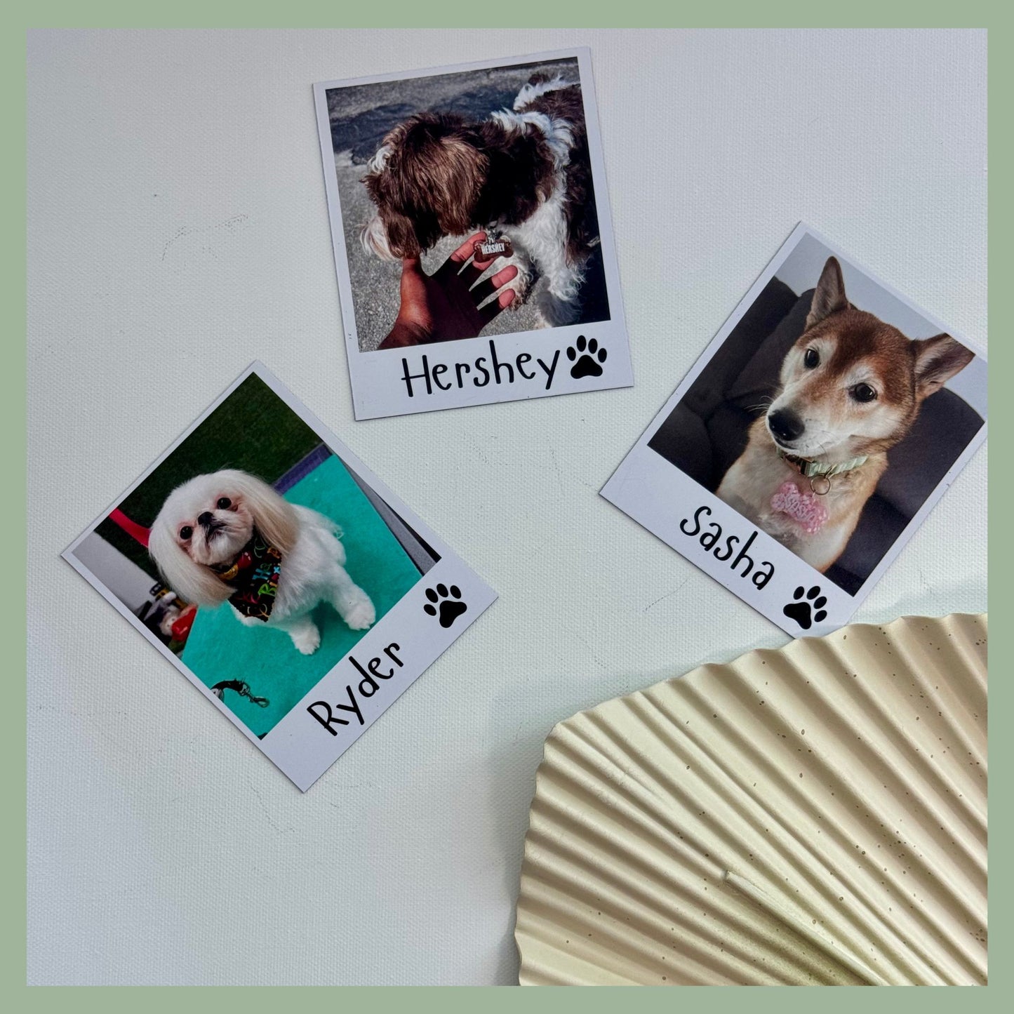 Set of polaroid-style custom pet photo magnets with dog portraits and names