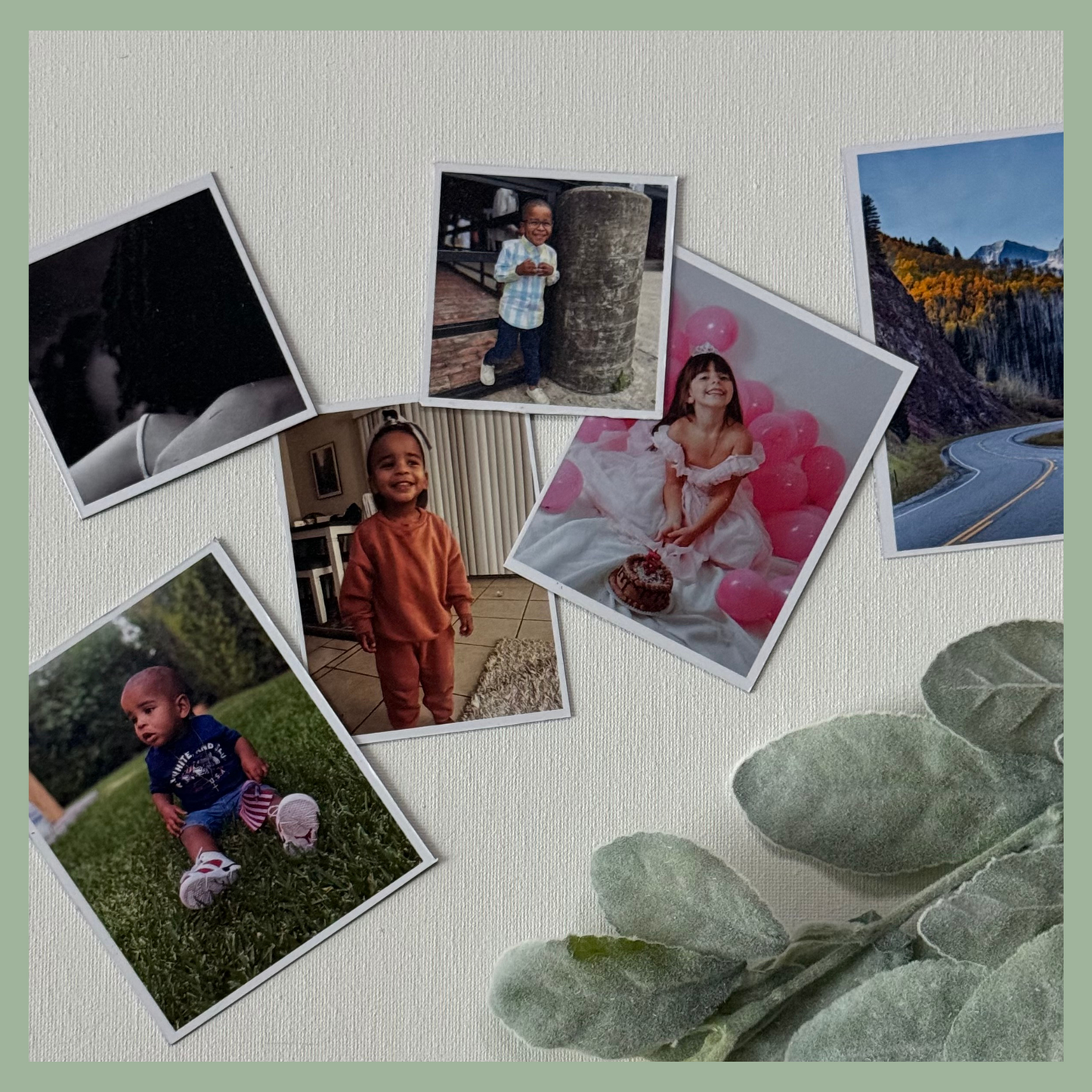 Collection of custom photo magnets in different sizes displayed on white background with plant leaves, personalized photo gifts