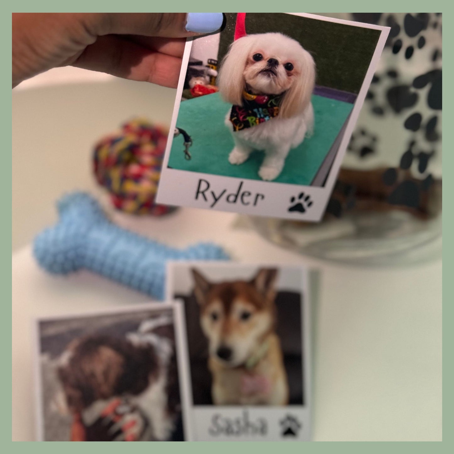 Group of custom pet photo magnets with personalized dog images