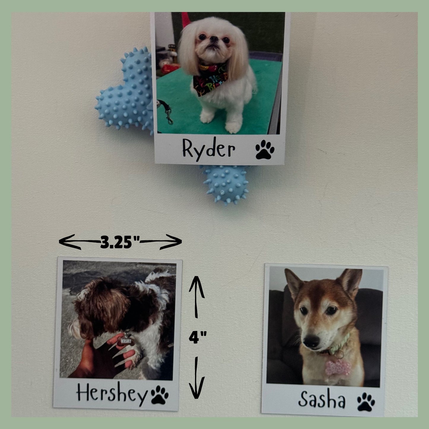 Custom pet photo magnets featuring dogs — personalized 3.25 x 4 inch fridge magnets with pet names and paw print icons. Unique gift for dog lovers, pet parents, and memorial keepsakes
