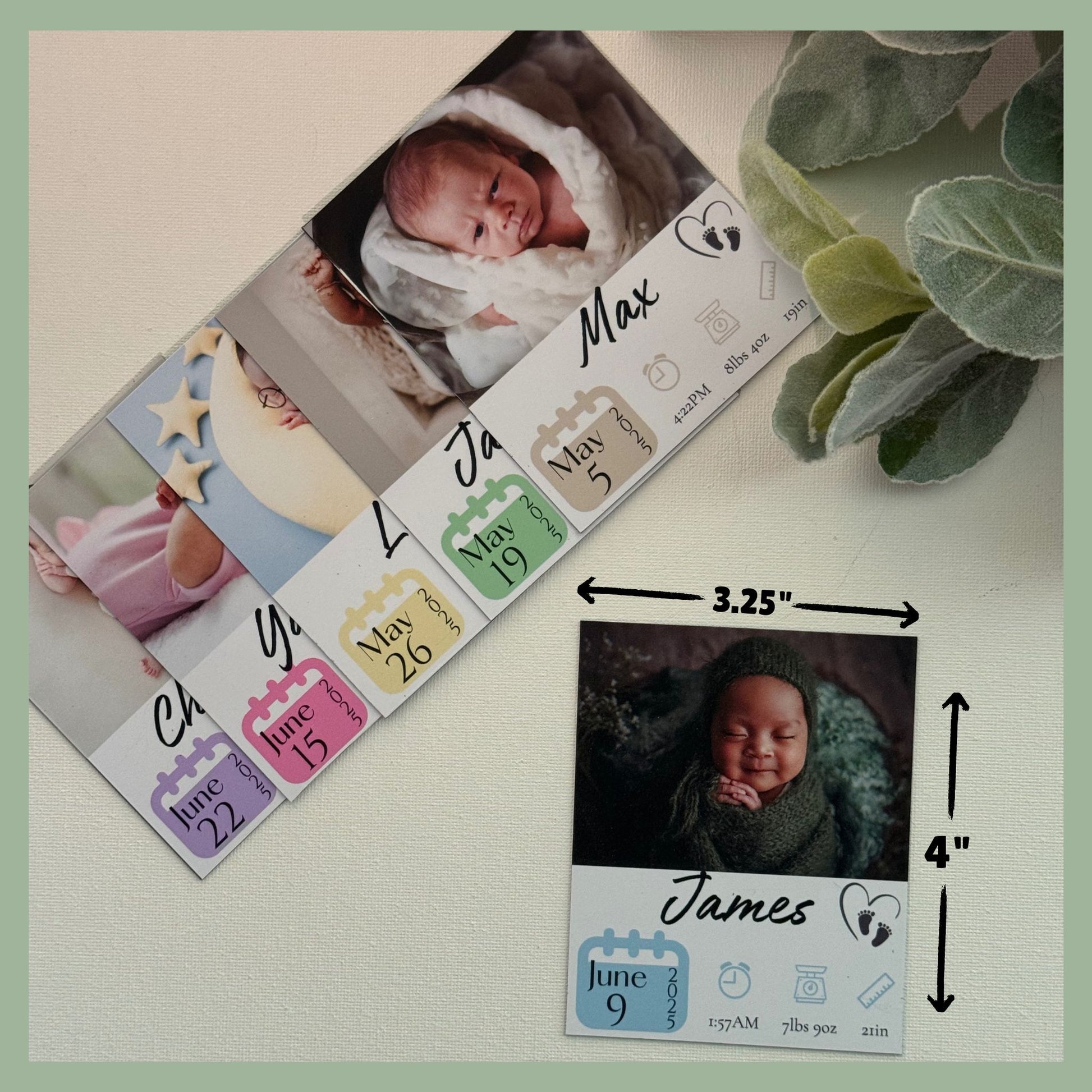 Set of personalized baby announcement photo magnets with custom newborn photos and birth details along with a size reference