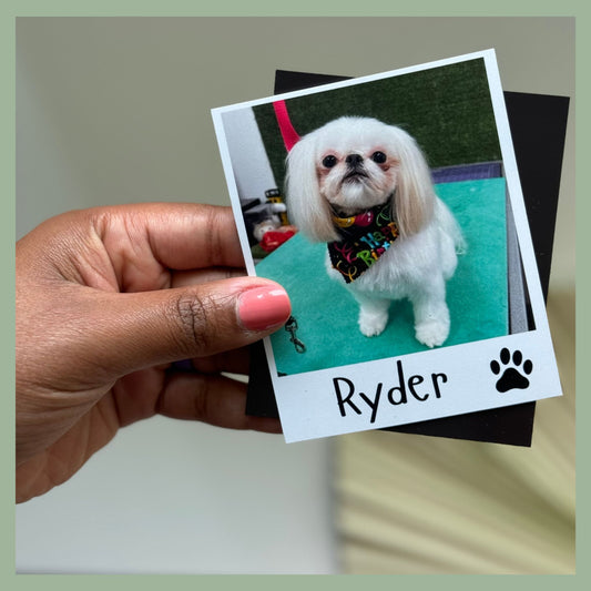 Custom pet photo magnet featuring a white dog with name personalization