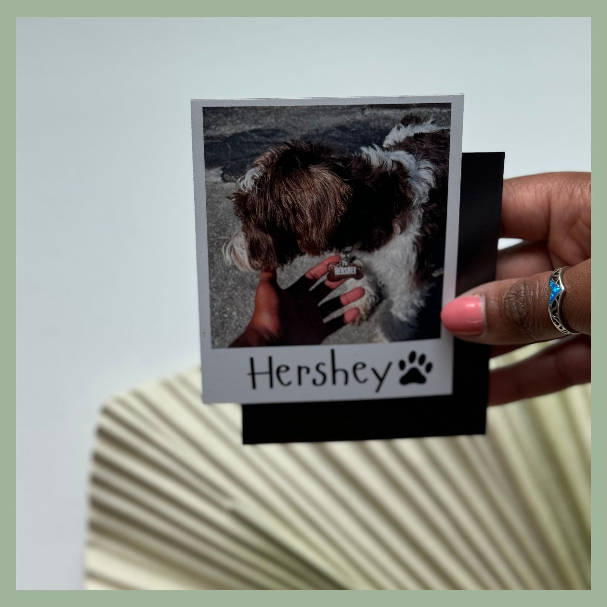 Pet photo magnet with brown dog and name customization